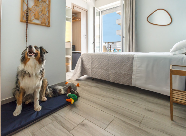 media.hotel-a-rimini-pet-friendly2