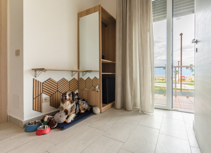 media.pet-friendly-hotel-rimini