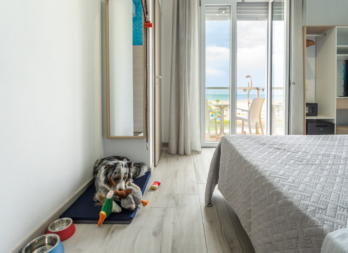 media.hotel-a-rimini-pet-friendly1