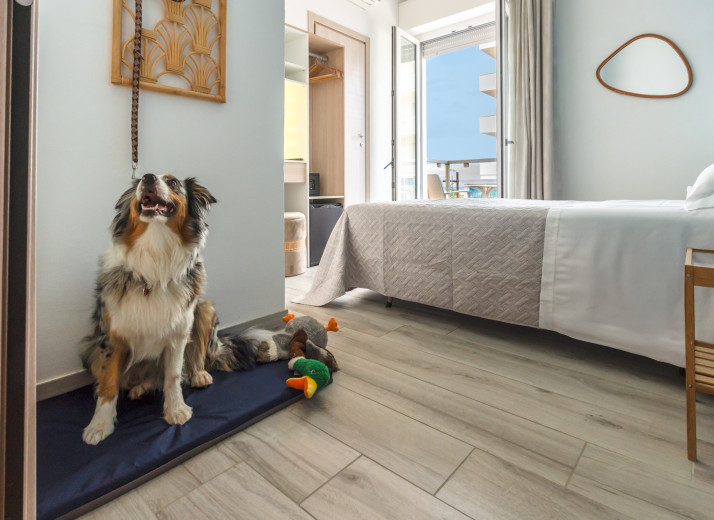 media.hotel-a-rimini-pet-friendly2