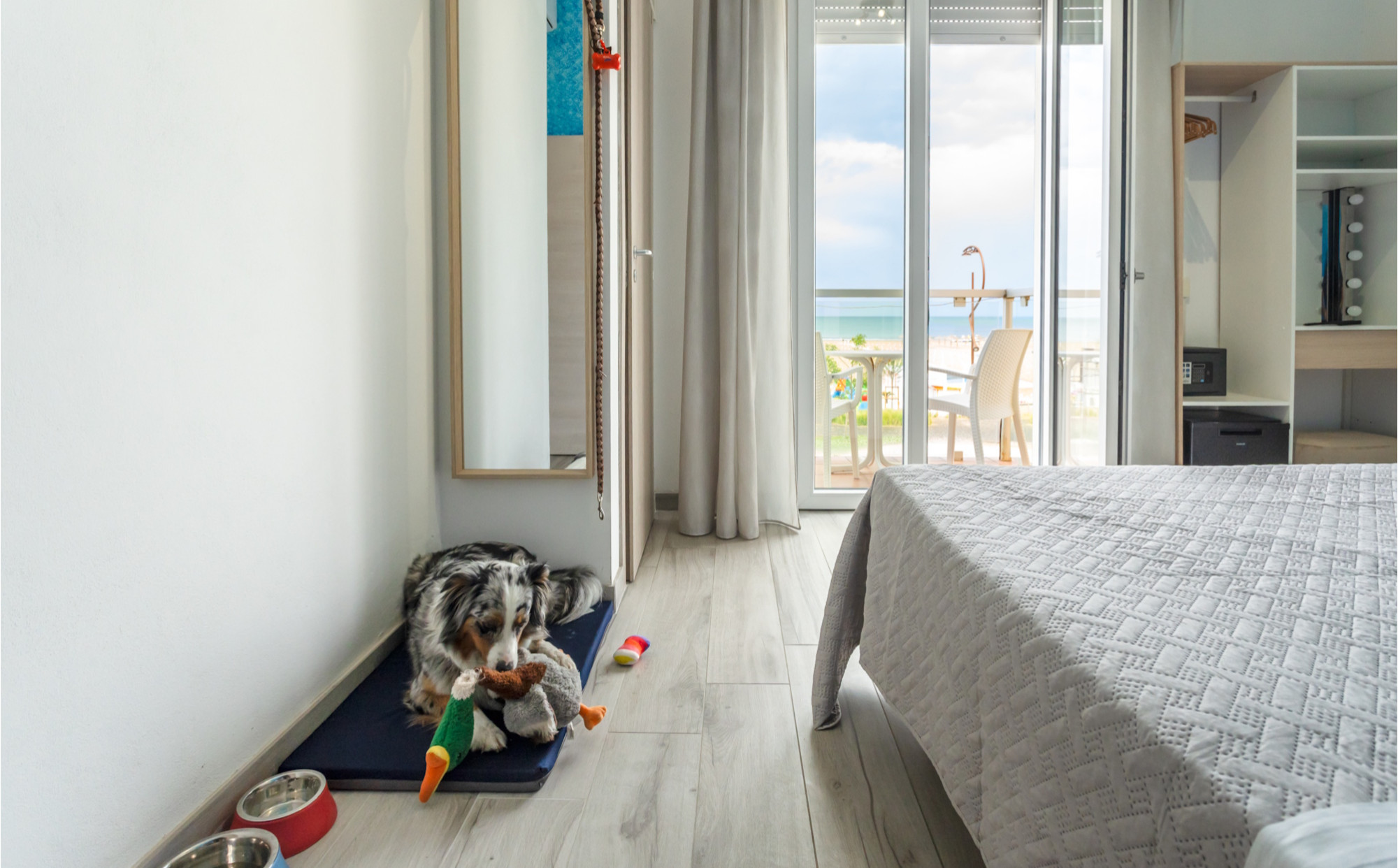 media.hotel-a-rimini-pet-friendly1