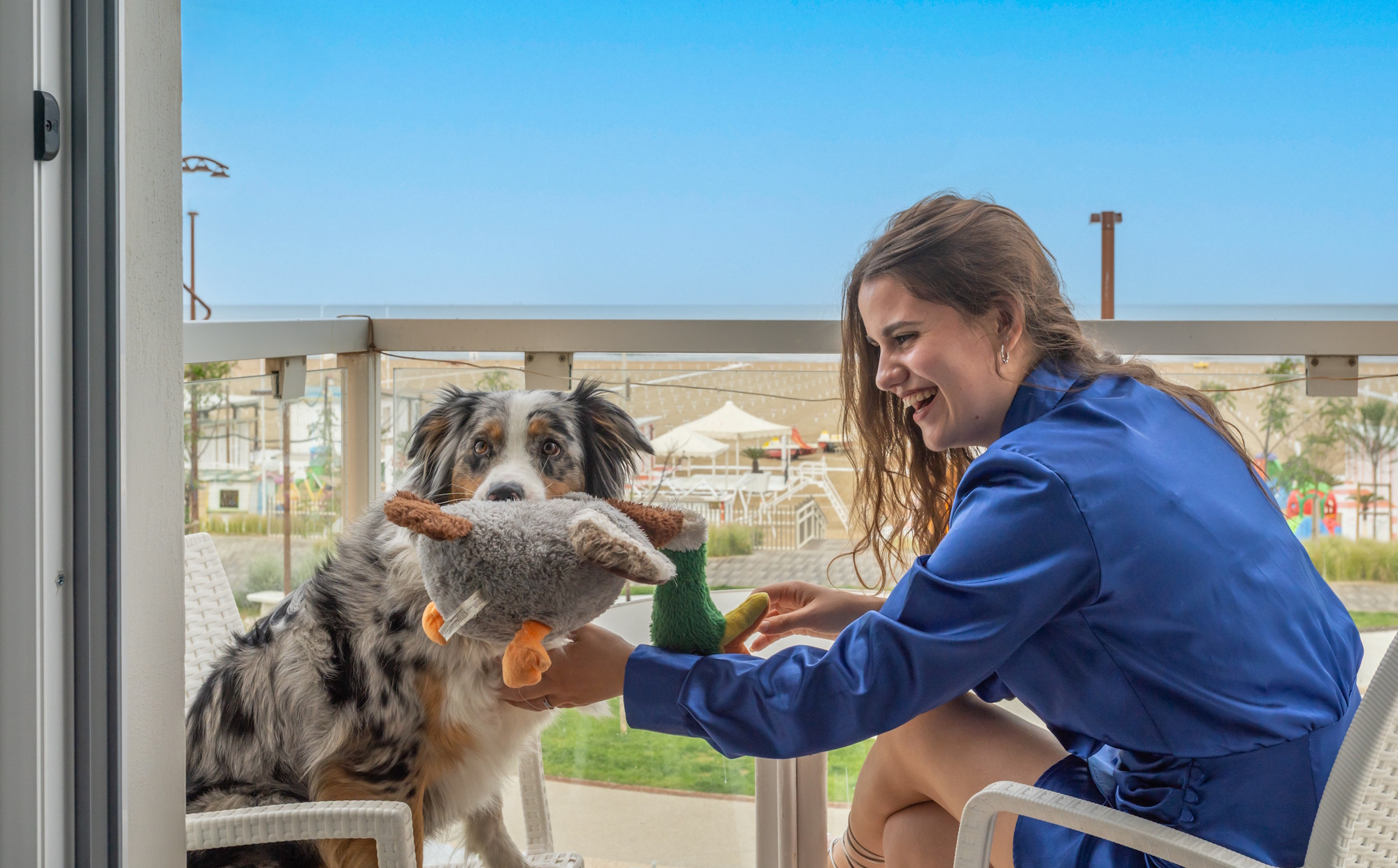 media.hotel-pet-friendly-a-rimini