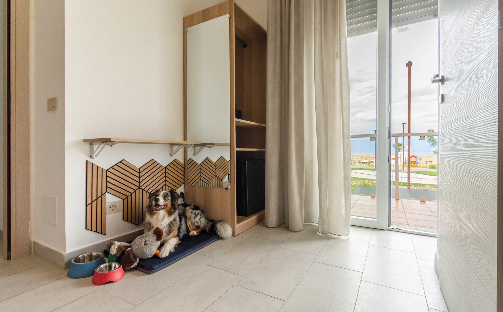 media.pet-friendly-hotel-rimini